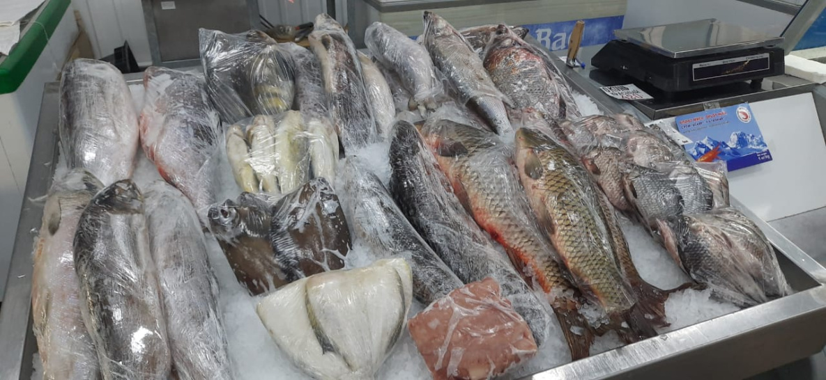Доступная рыба в Хабаровском крае появится в середине августа