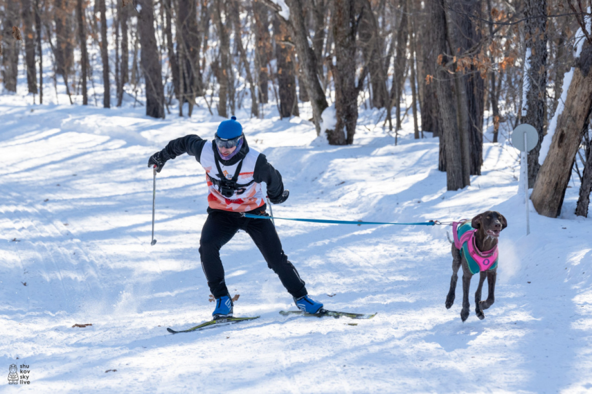 «Амурская метель» промчится в Хабаровском районе в 16-й раз