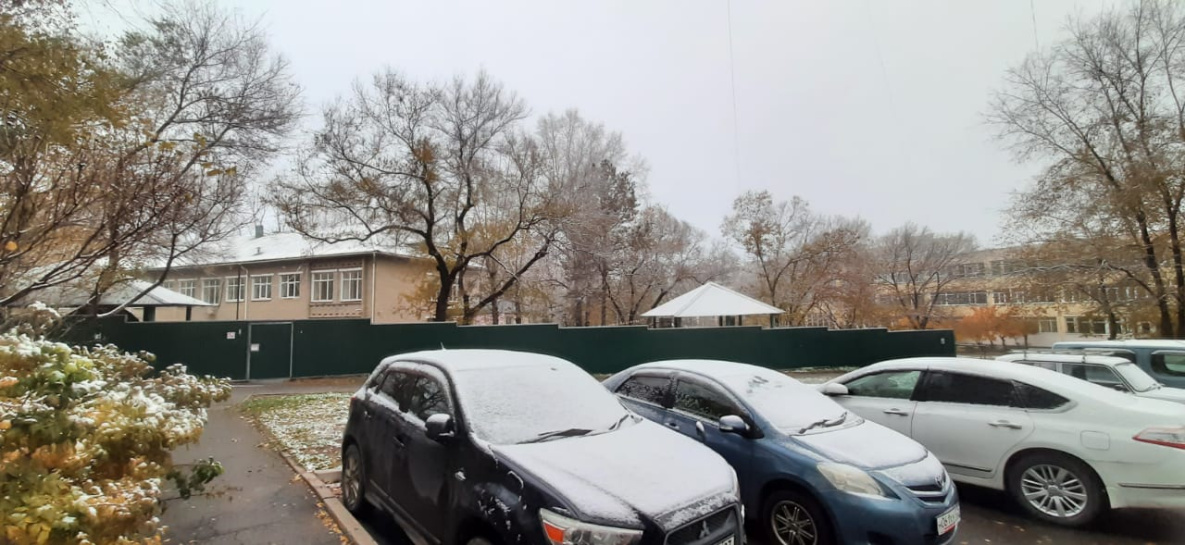 Прогноз на 3 ноября: снежный циклон накроет почти весь Хабаровский край