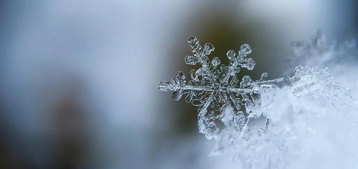 Снег пройдет в Хабаровском крае к 23 февраля