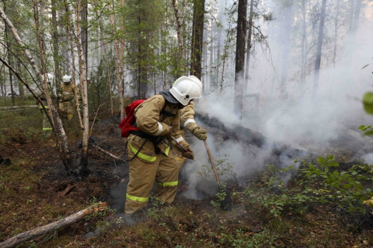 В лесах Хабаровского края введён режим чрезвычайной ситуации