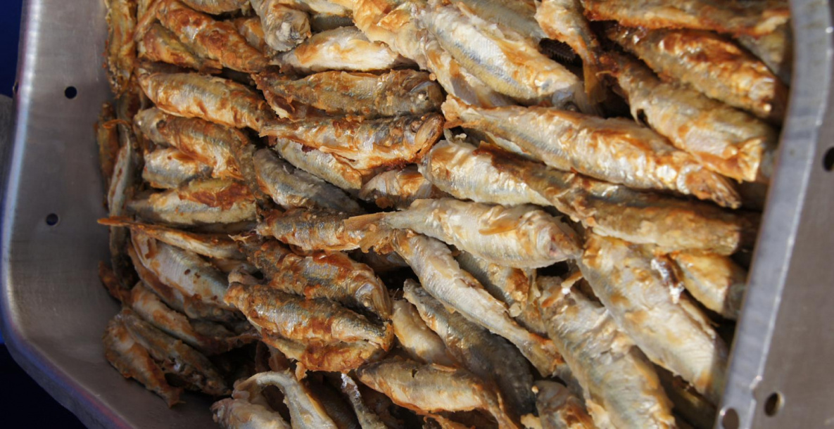«Народная рыбалка на Амуре» обещает богатый улов корюшки