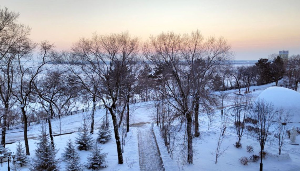 Морозная новогодняя ночь и снежное начало января ожидает хабаровчан