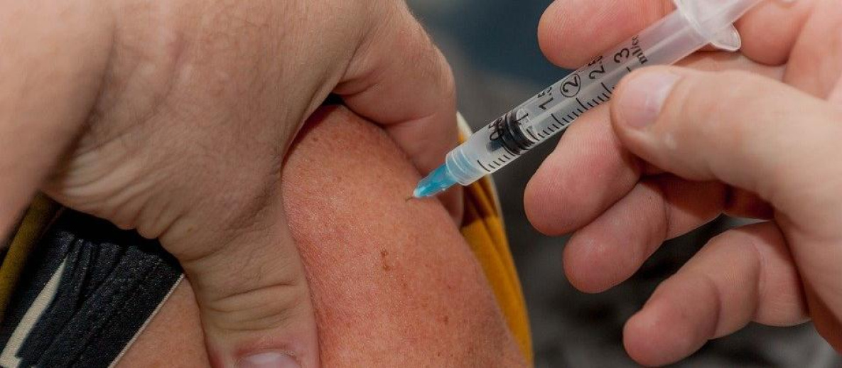 Вакцинация от энцефалита в Хабкрае переносится на неопределённый срок
