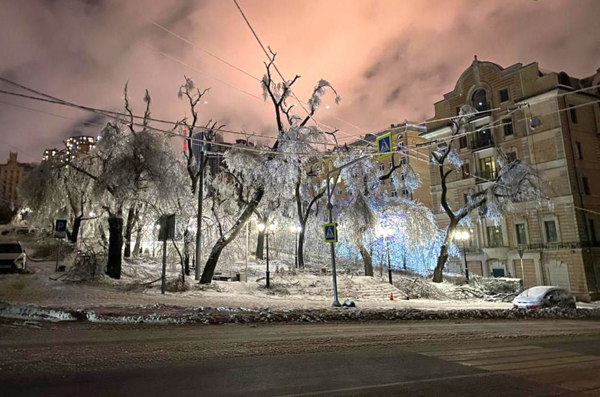 Ущерб от ледяного дождя в Приморье оценён в сотни миллионов рублей