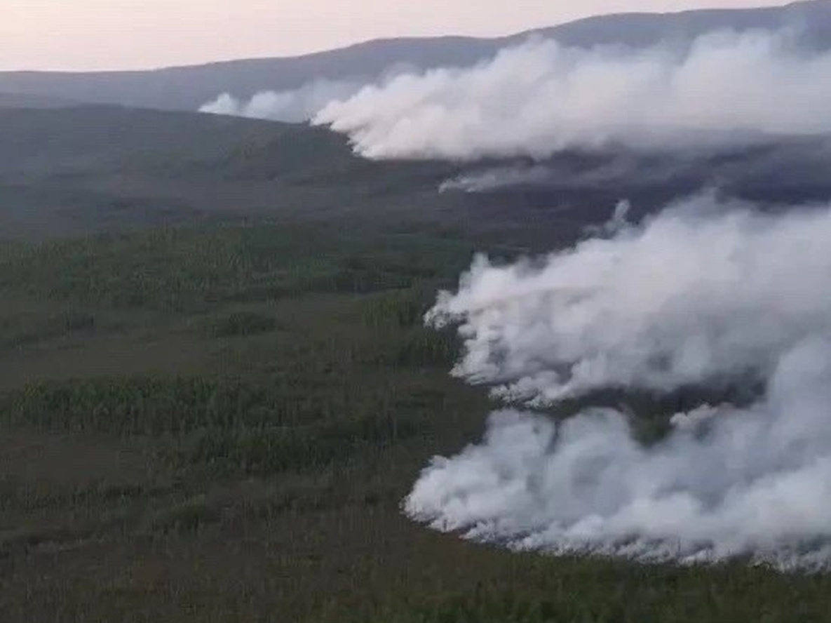 В Джугджурском заповеднике Хабаровского края ликвидировали пожар