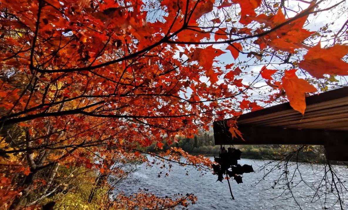 Где отдохнуть в первые выходные дни октября подсказали в Хабаровском крае