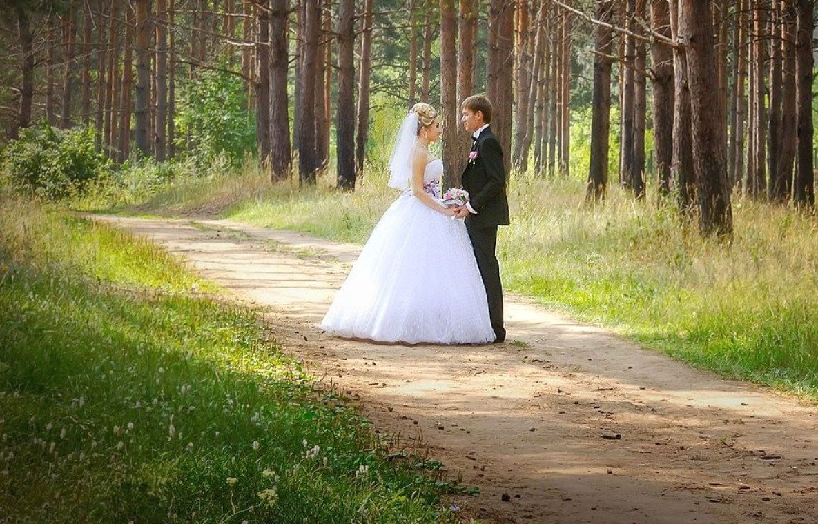 Полный гид по свадебной фотографии настя николаева