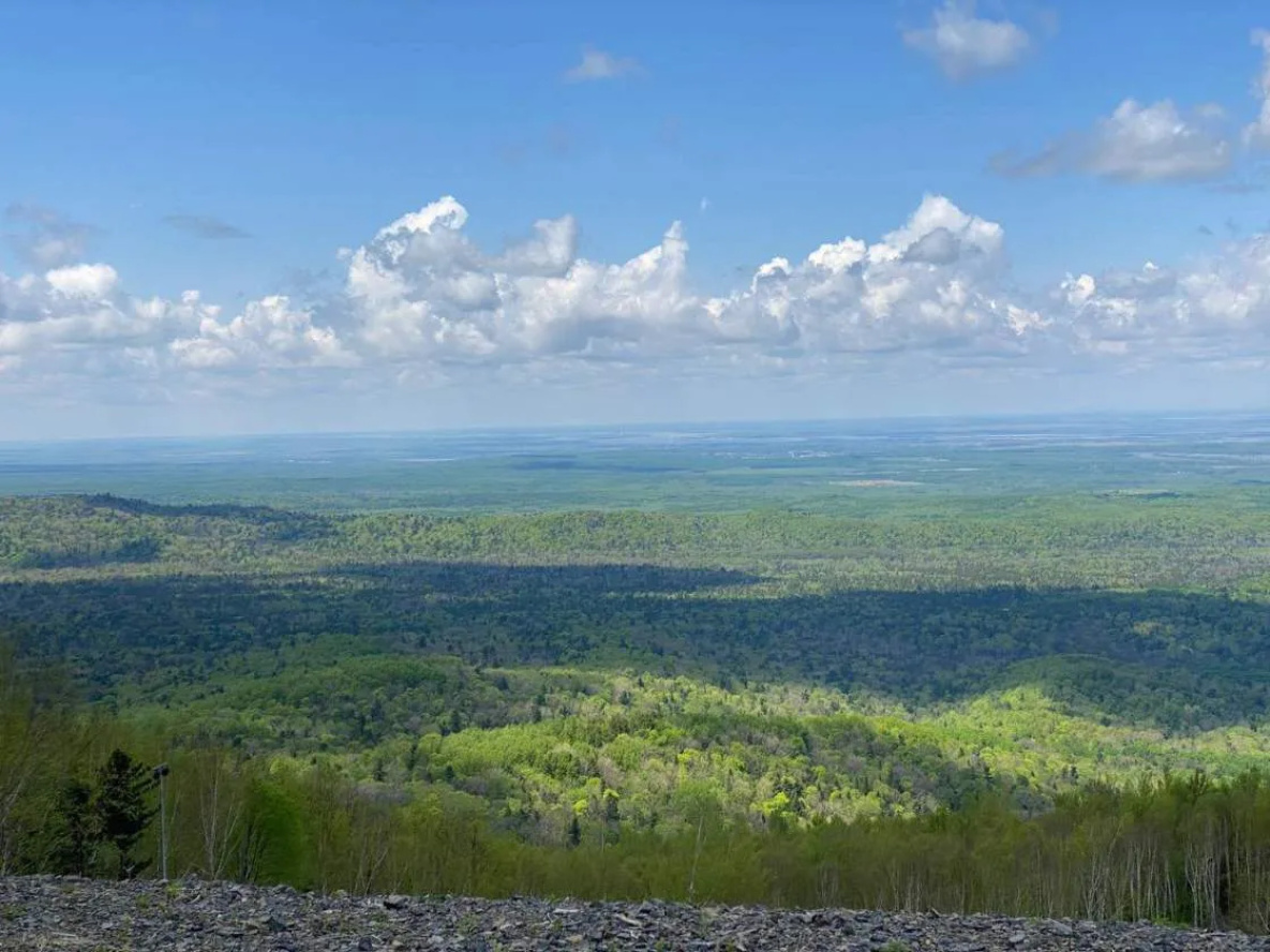Хабаровчан зовут бесплатно опробовать новую экотропу