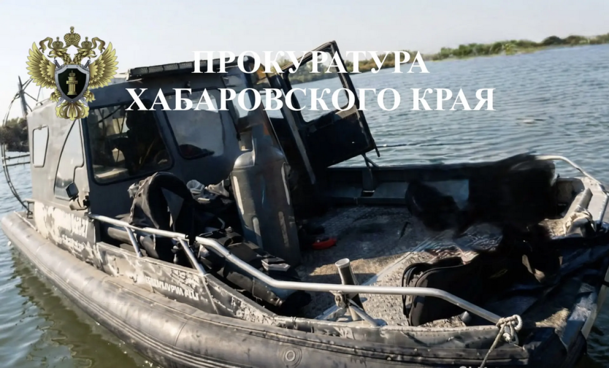Два изюбра обошлись жителю Хабаровского района в 2,1 млн рублей