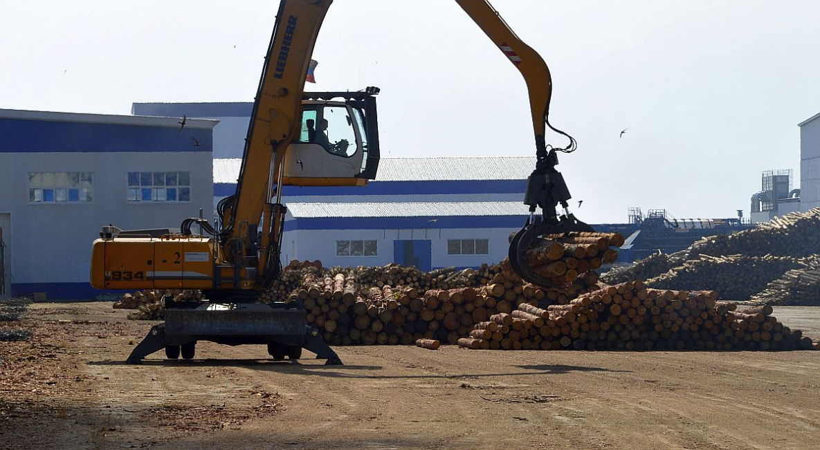 Новые льготы для лесопромышленников разрабатывают в Хабаровском крае