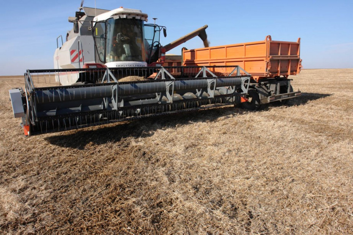 Аграрии в Хабаровском крае намолотили почти 12 тысяч тонн зерновых