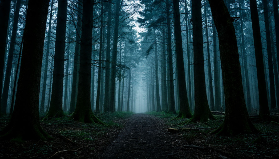 Народные приметы на 4 сентября: сегодня нужно делать добрые дела