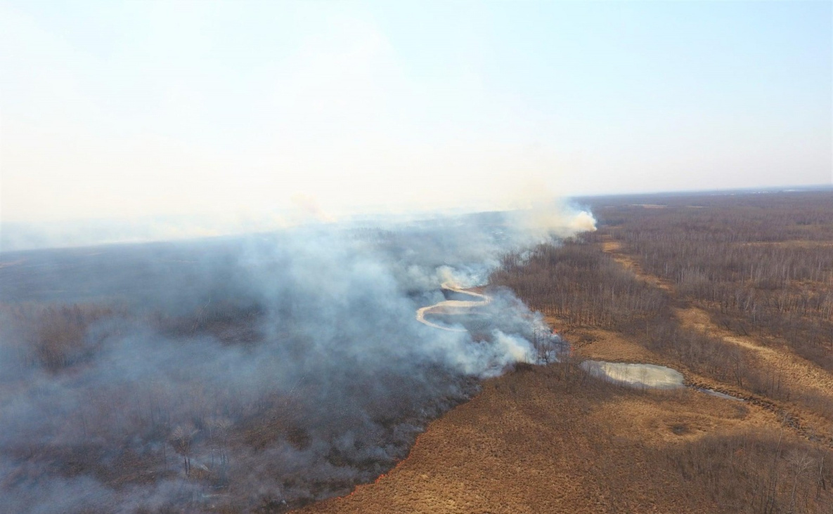 Заповедные земли в Хабаровском крае спасли от огня