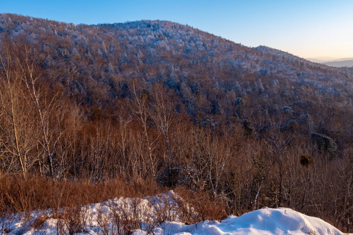 Новый горнолыжный курорт может появиться в Хабаровском крае