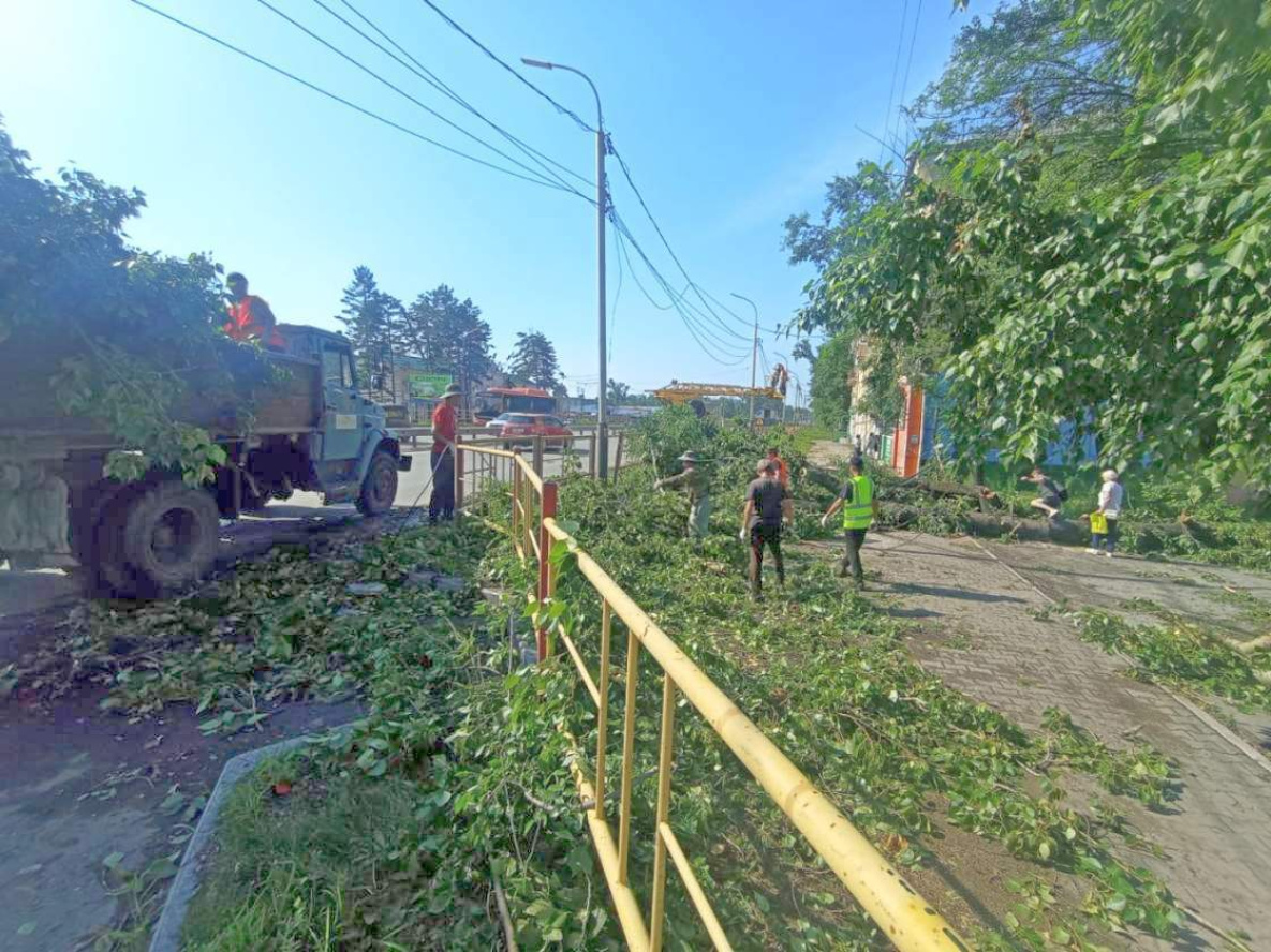 Энергетики восстановили нарушенное после урагана в Хабаровске электроснабжение