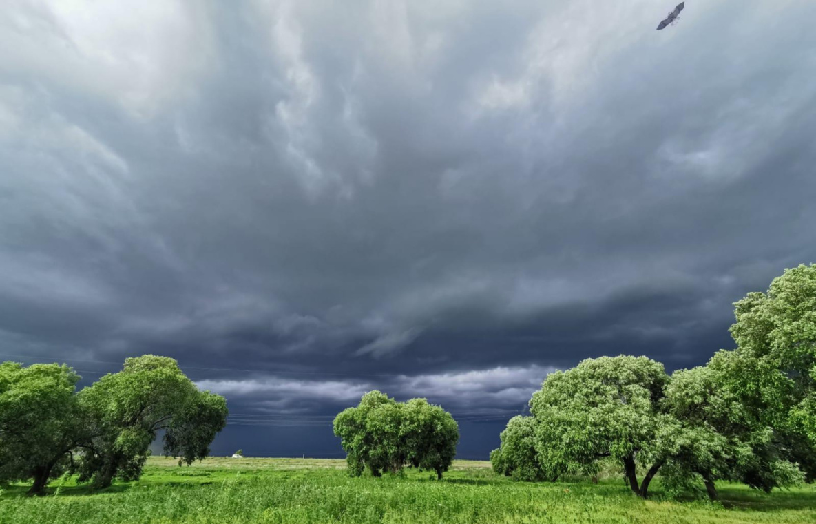 Прогноз на 22 июня: дожди в Хабаровском крае будут реже
