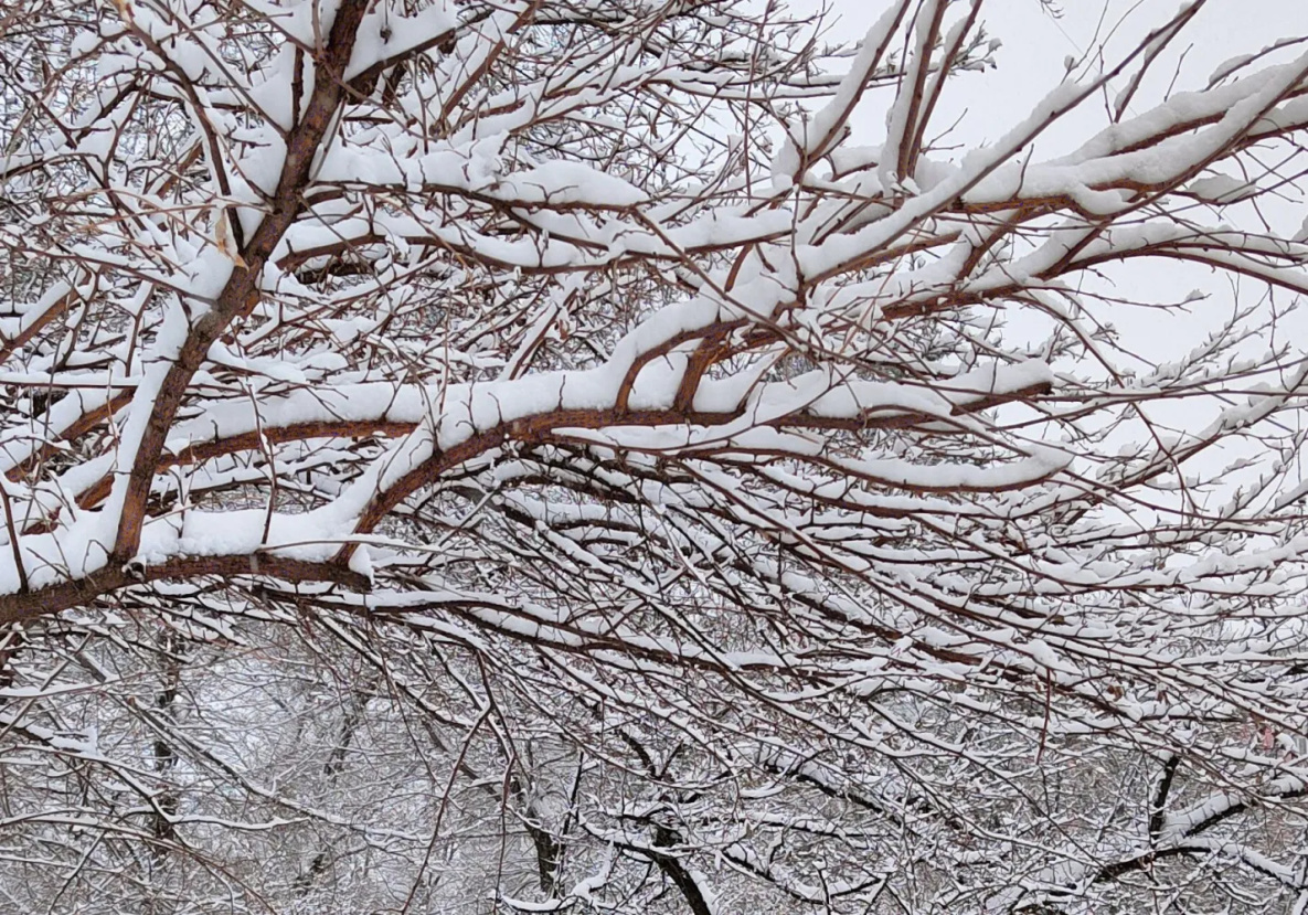 Метровые сугробы намело в северных районах Хабаровского края