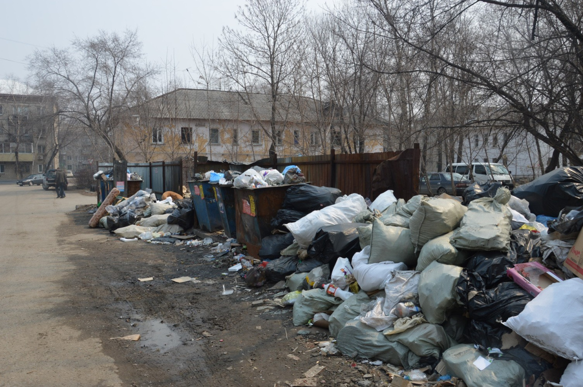 Хабаровск борется с разросшимися и бесконтрольными мусорками