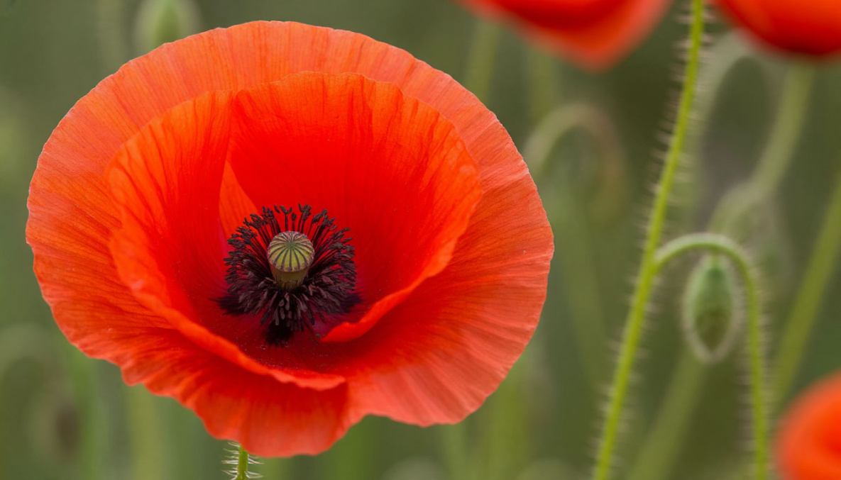 Народные приметы на 16 июля: сегодня лучше не общаться с родственниками