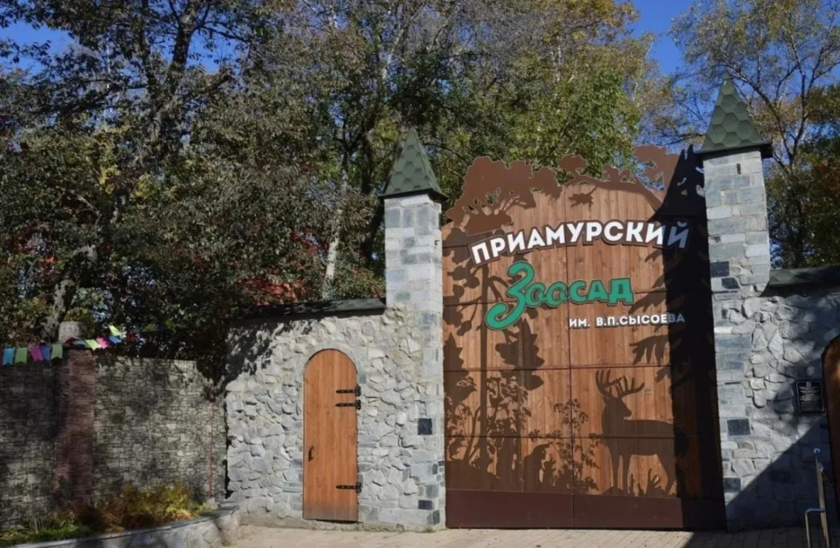 Новый бурый медведь приехал в Приамурский зоосад на время