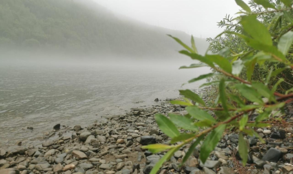 Прогноз на 21 июля: в Хабаровском крае духоту умерят тёплые дожди