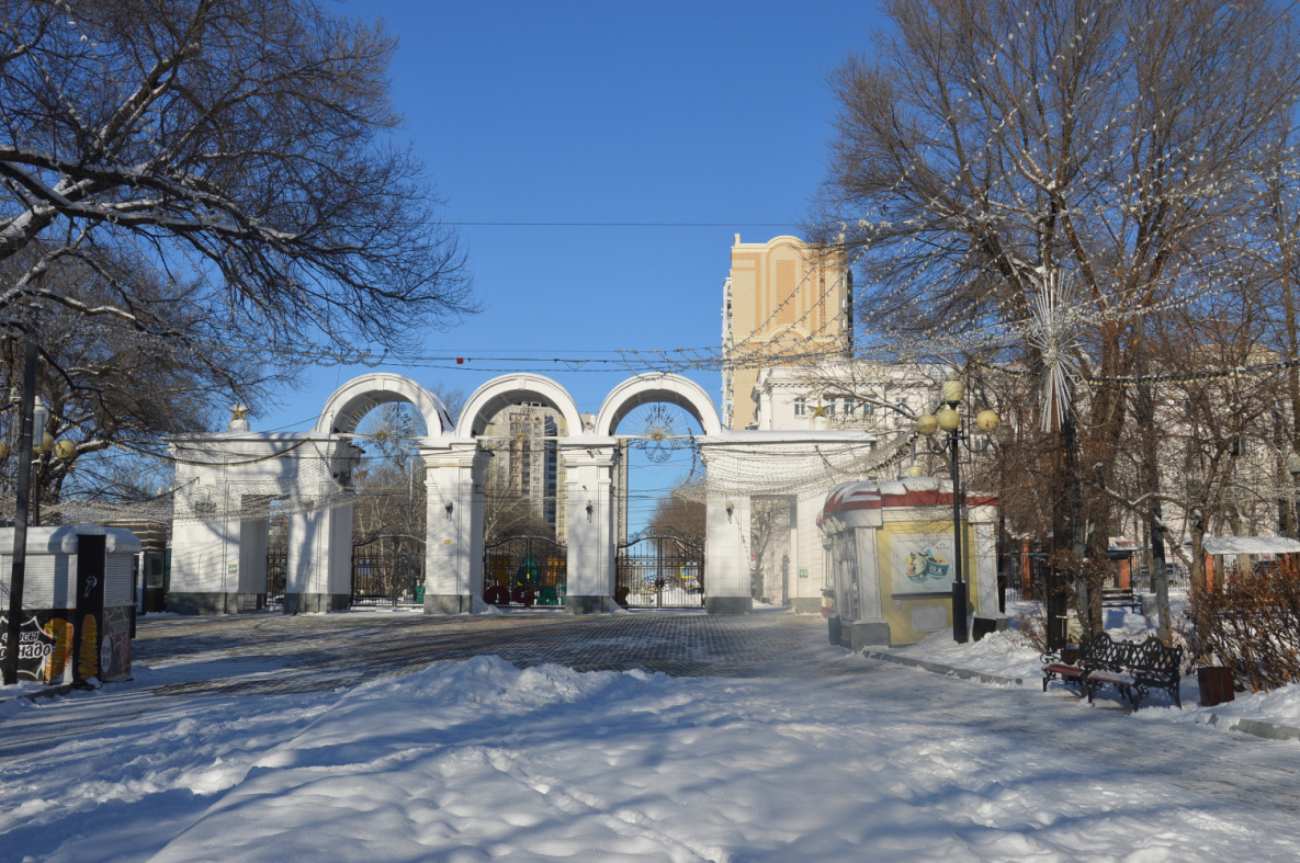 Ёлку в парке имени Гайдара в Хабаровске установят уже к выходным