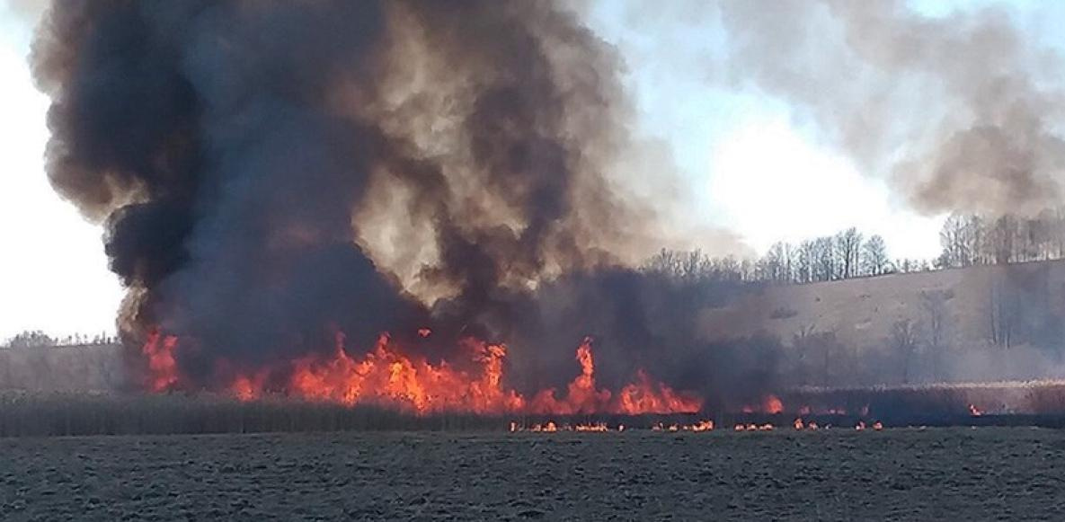 В Хабаровском крае 8 ноября зафиксировано два лесных пожара