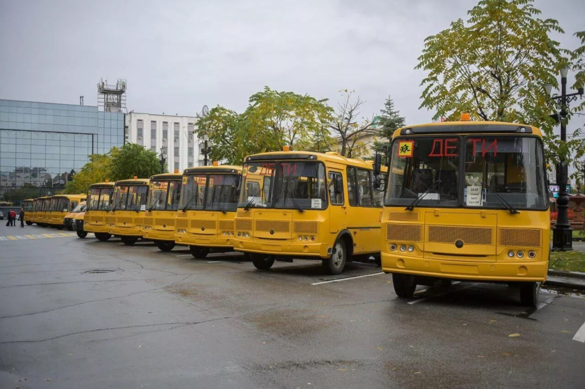 Новые школьные автобусы получит Хабаровский край в этом году