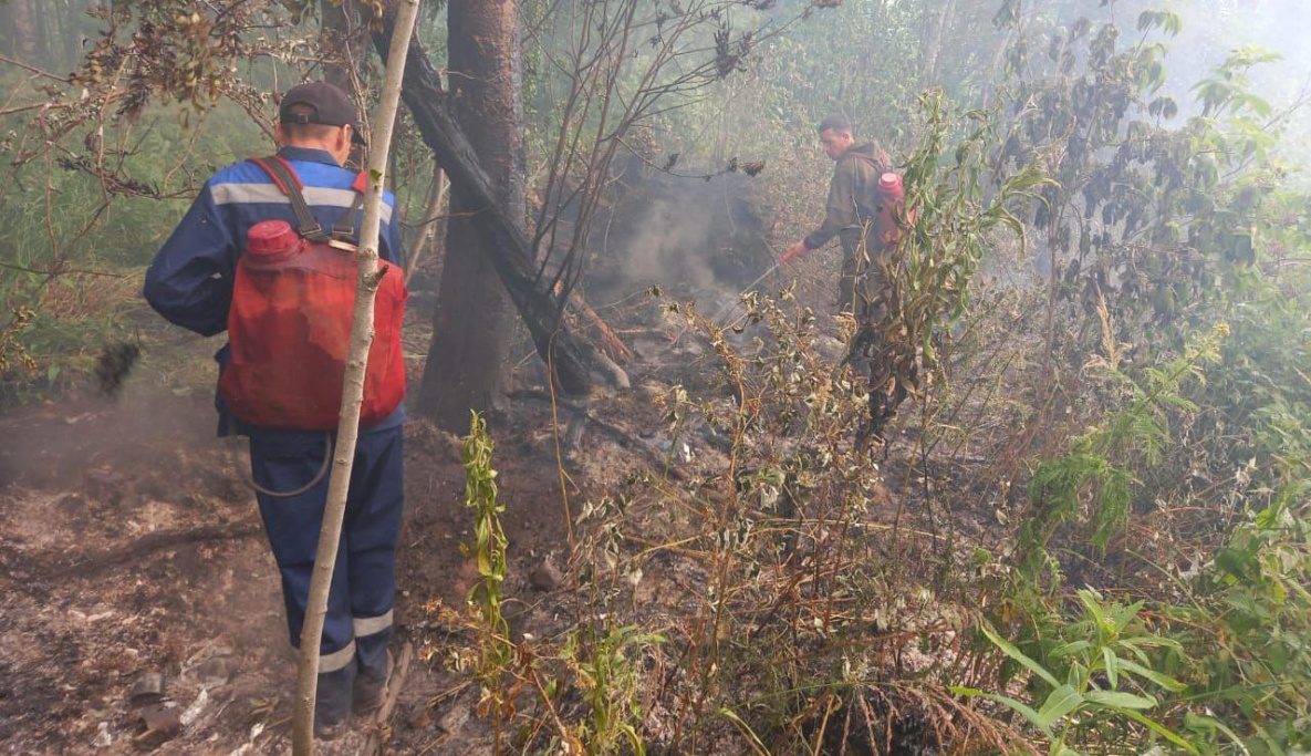 Месяц ушёл на локализацию пожара-рекордсмена в Хабаровском крае