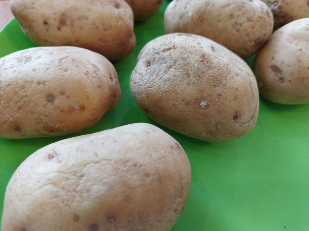 Сорт картофеля лентяйка