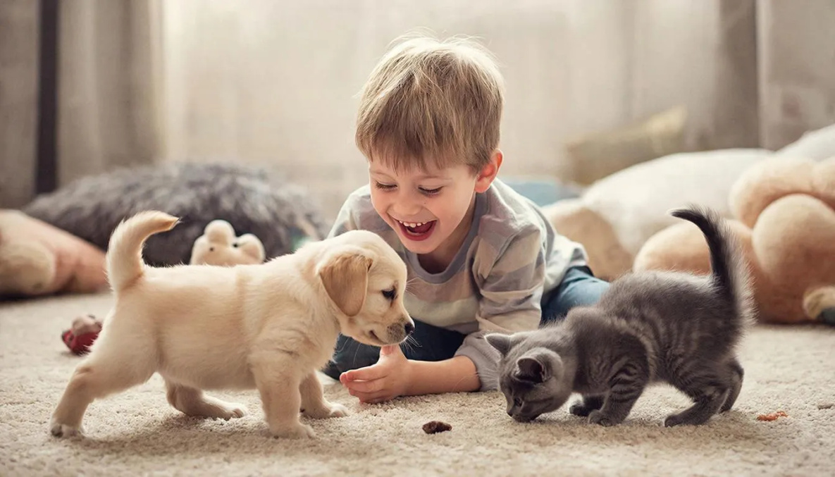 Роспотребнадзор напомнил о риске заболеть при общении с домашними животными