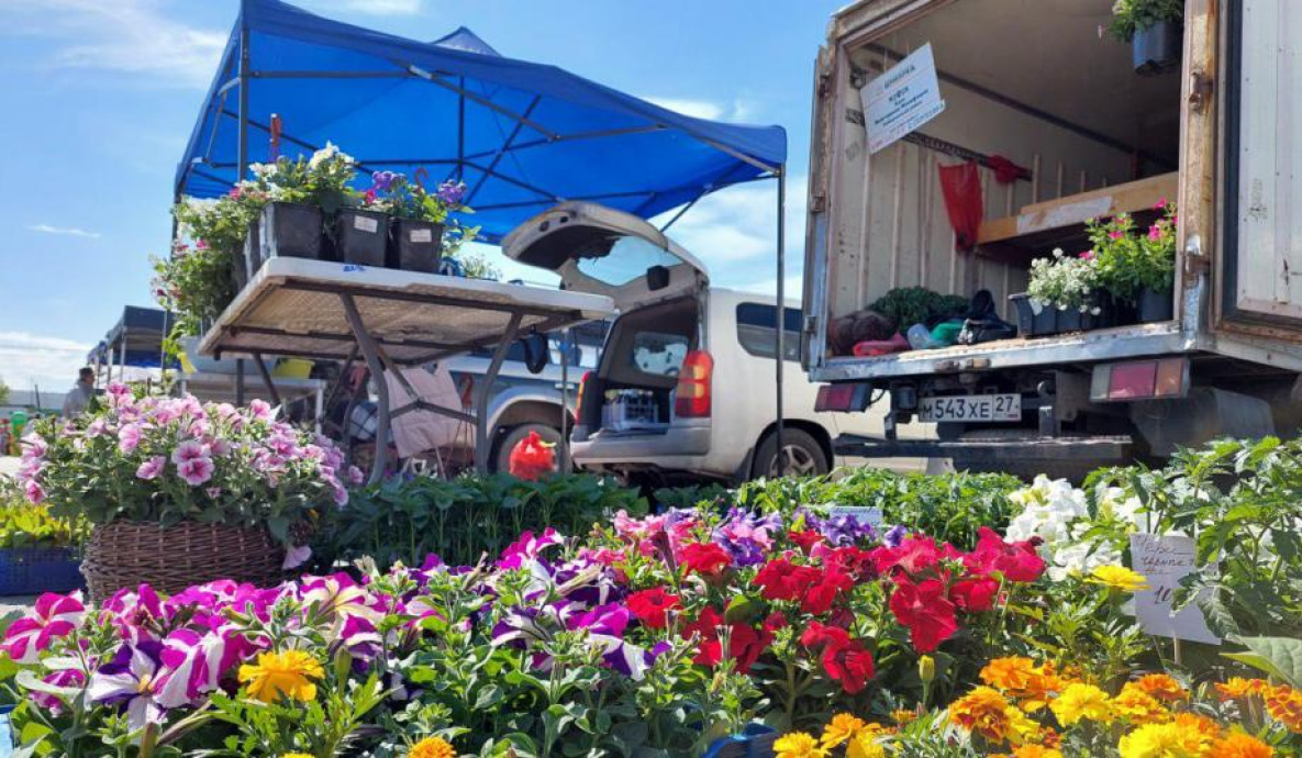 Сельскохозяйственная ярмарка выходного дня в Хабаровске стала эффективнее