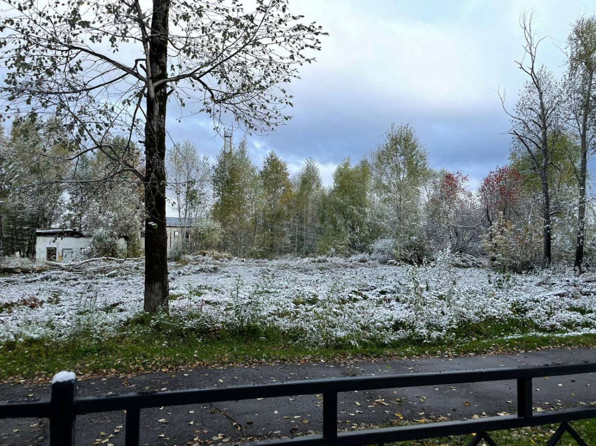 Хабаровске выпал снег. Первый снег. Снег фото. Снегопад. Выпал снег.