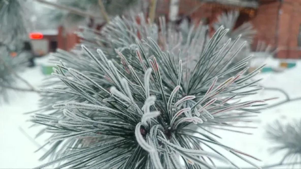 Хабаровск побелел от инея в ожидании нового циклона