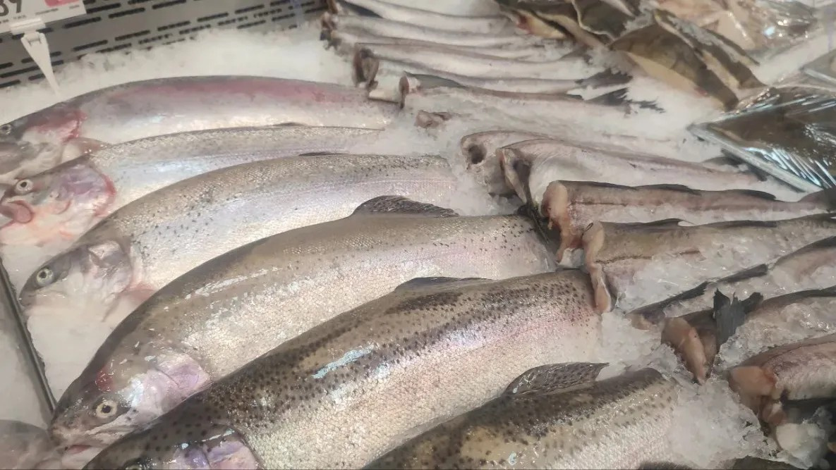 Более 400 тонн «доступной рыбы» раскупили жители Хабаровского края