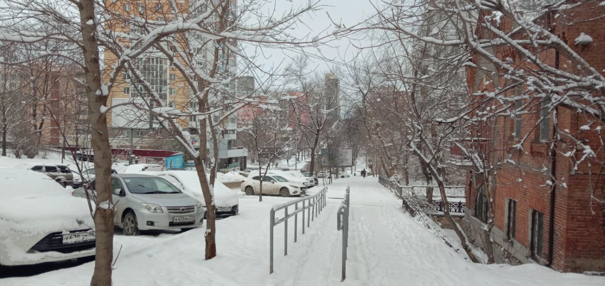 В Хабаровском крае 16 марта повсюду снег и метель