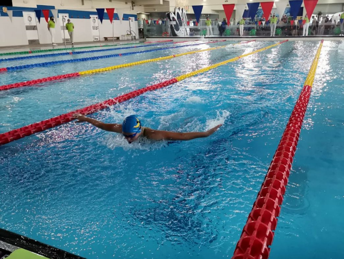 Хабаровчане завоевали 109 медалей в Чемпионате и Первенстве ДФО по плаванию