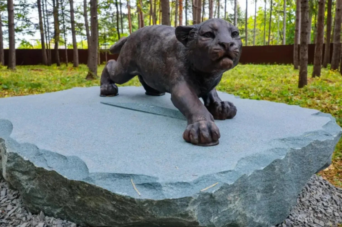 В Хабаровском крае построят президентский центр спасения диких животных