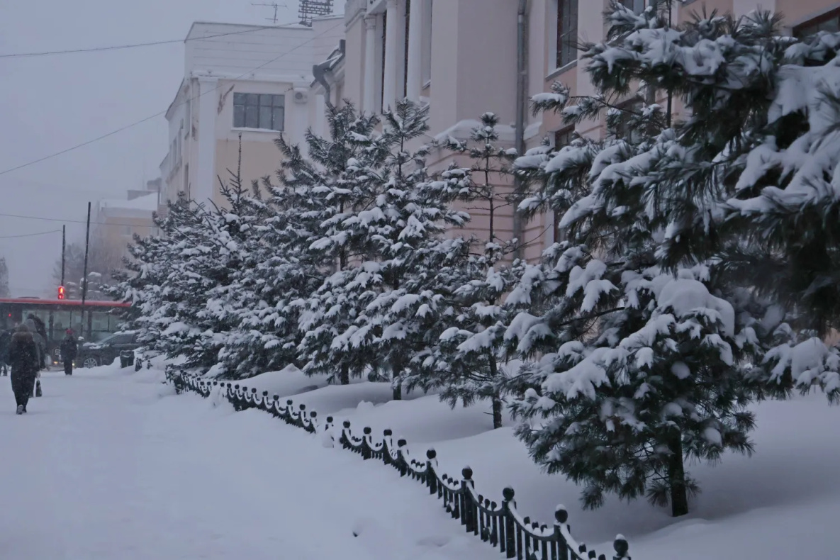 Хабаровский край припорошит, а местами накроет январским снегом 