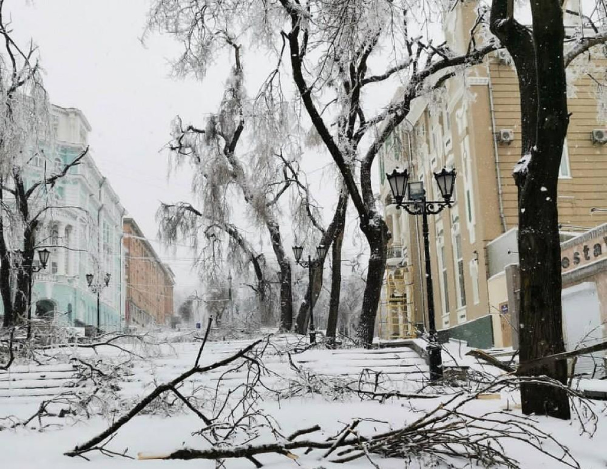 «Ледяной» Владивосток: циклон устроил хаос в Приморском крае