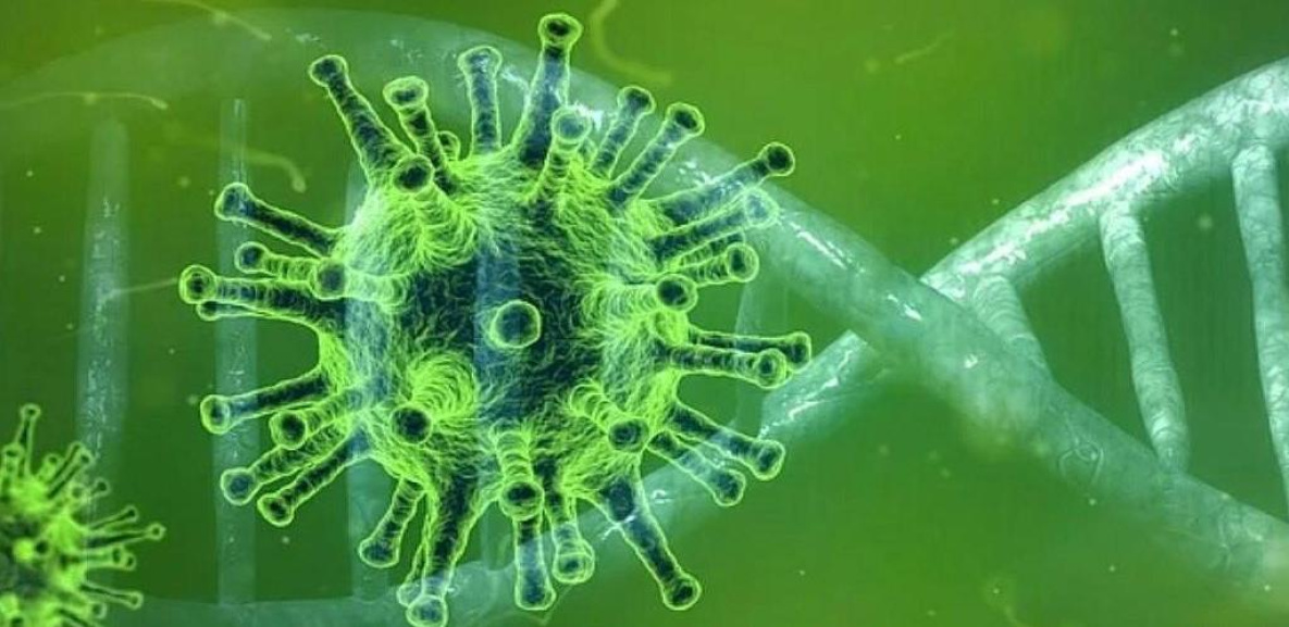 520 - в Хабаровском крае впервые уменьшилось количество больных коронавирусом