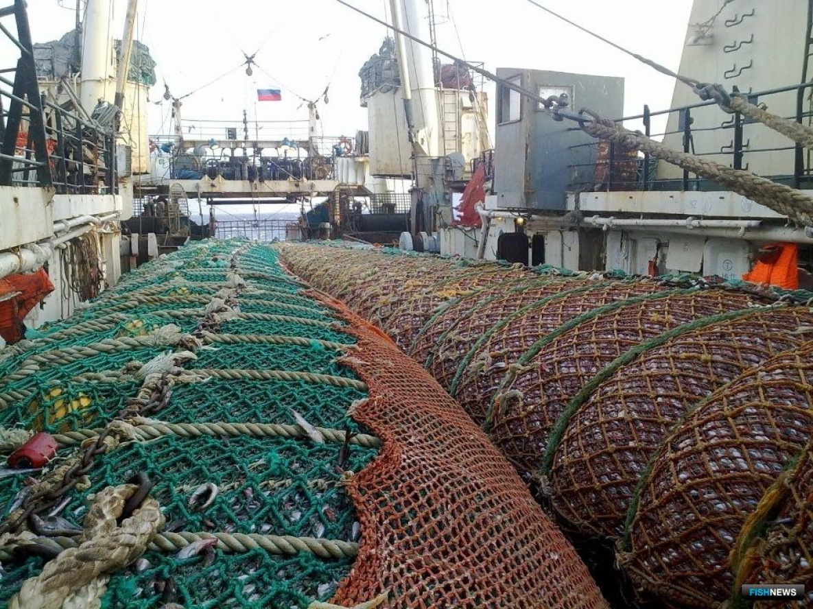 Рыбакам Хабаровского края могут предложить «рыбную интервенцию»
