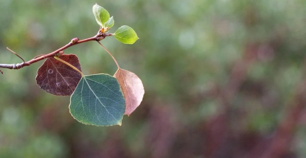 Народные приметы на 16 октября: сегодня постарайтесь не поддаваться недугам