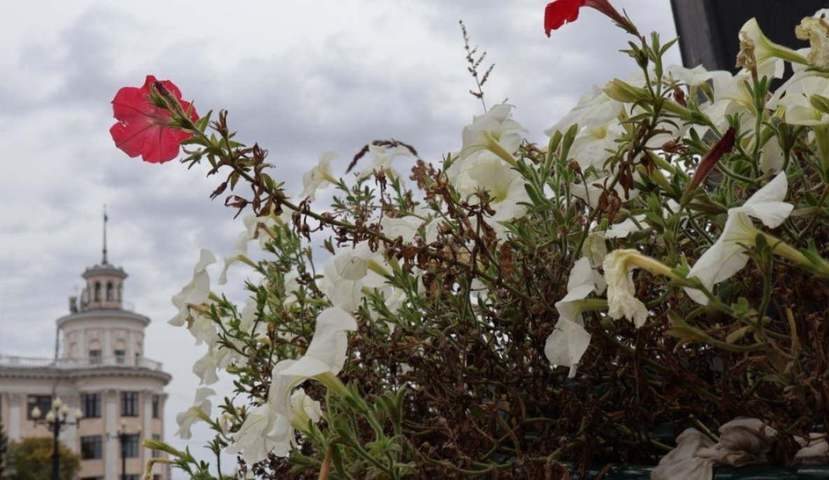 Сентябрь прощается с Хабаровском на тёплой ноте