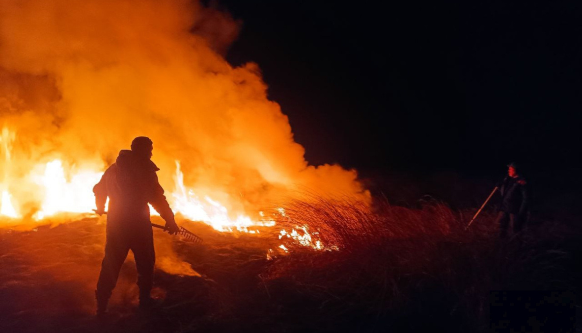 В 11 районах Хабаровского края повышен класс пожарной опасности