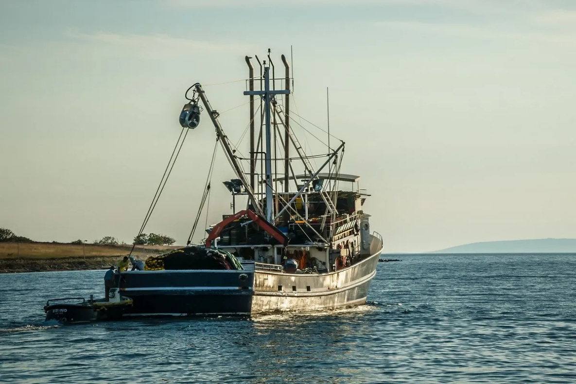 Рыбаки Хабаровского края успешно завершили минтаевую путину