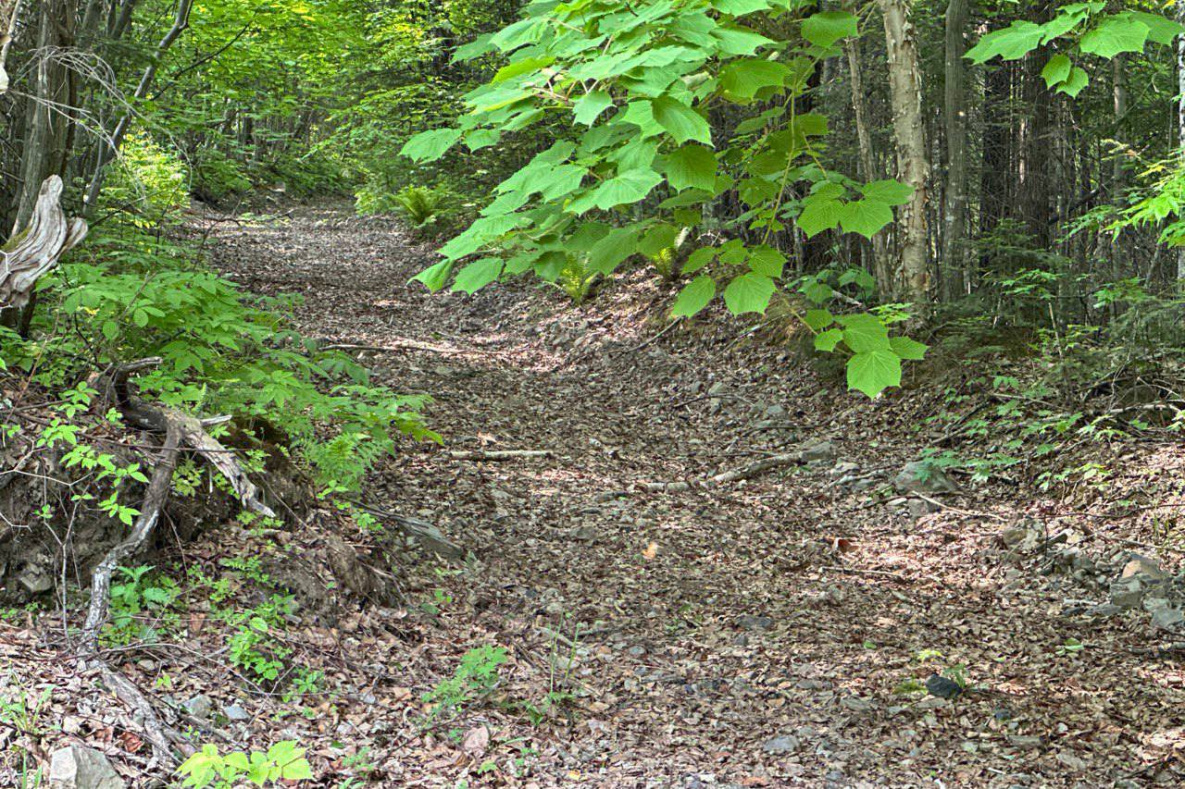 В пригороде Хабаровска создают новую экотропу «Легенды Хехцира»