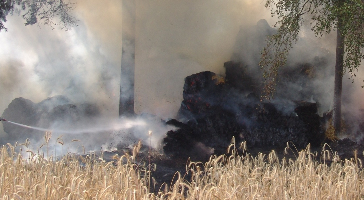 В Хабаровском крае потушили все лесные пожары