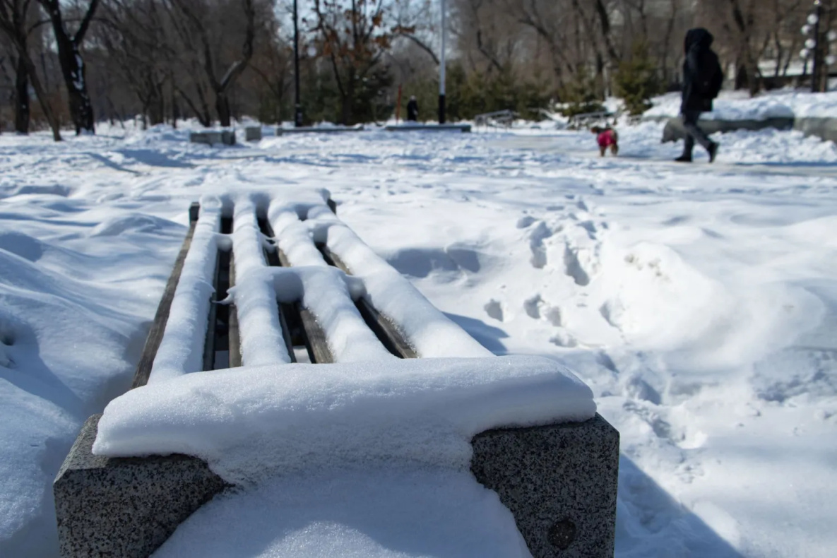 Последний рабочий день января в Хабаровске будет снежным и тёплым